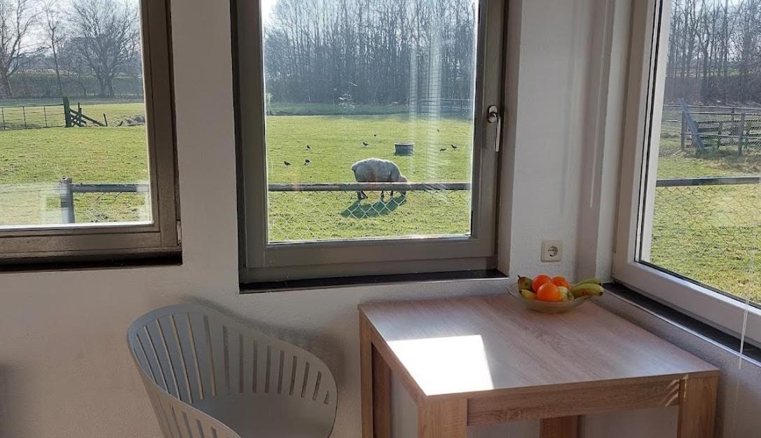 Home For 2 Zuidoostbeemster Extérieur photo